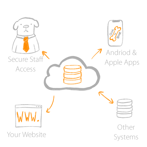 Cloud Databases